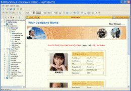 Download dbQwikSite Personal Plus Edition 4.1