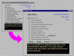 Download ShrinkerStretcher for MS Access 2000