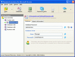 Download Access Password Recovery Pro
