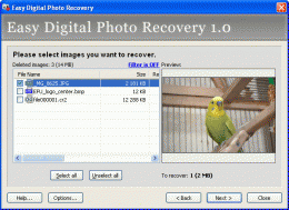 Download Easy Digital Photo Recovery 2.0