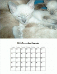 Download Calendars Software