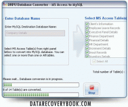 Download MS Access to MySQL Converter Program