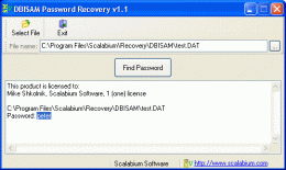 Download DBISAM Password Recovery