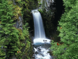 Download Charming Waterfalls Screensaver