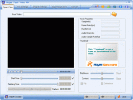 Download Flash Video MX 4.6