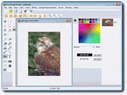 Download Falco Image Studio 10.5