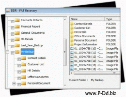 Download FAT Partition Files Salvage Software 4.0.1.5