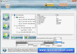 Download Pen Drive Data Salvage Software