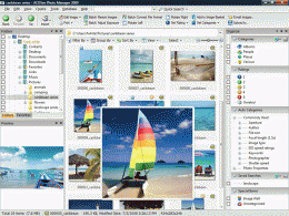 Download ACDSee Photo Manager 2009 11.0.85