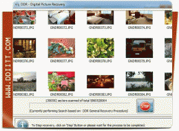 Download Recover Digital Images