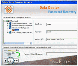 Download IE Password Reset
