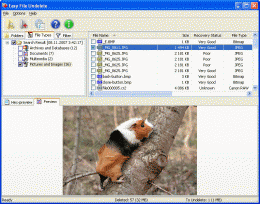 Download Easy NTFS File Undelete 3.0