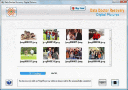 Download Recover Lost Photo