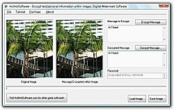 Download Encrypt and hide regular text within images  bitmaps