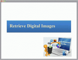 Download Retrieve Digital Images