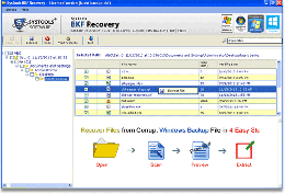 Download Restore Invalid BKF File
