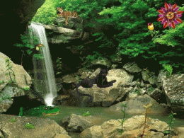 Download Jungle Falls