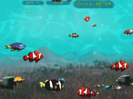 Download Sea Fishes 2