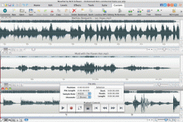 Download Wavepad Audio Editor Free for Mac 16.01