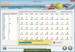 Download Professional Data Recovery Software 5.6.1.3
