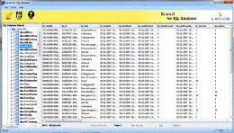 Download Repair Corrupt MDF Files