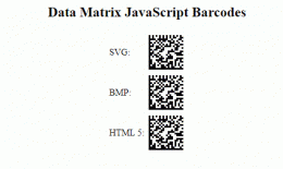 Download JavaScript Data Matrix Generator