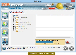 Download DDR Professional Data Recovery Software