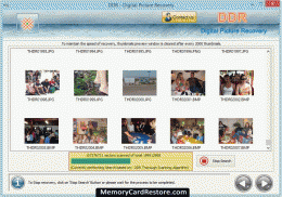 Download Digital Picture Recovery Application