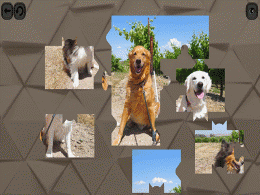Download Puzzles For Smart Dogs