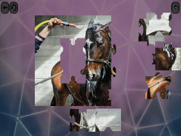 Download Puzzles For Smart Horses