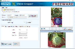 Download DRPU Video Cropper Freeware Software 2.2