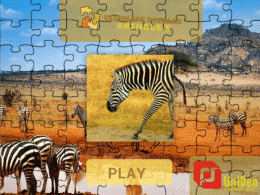 Download Ultimate Puzzles Animals 3 3.1