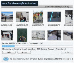 Download Mac Recover Files