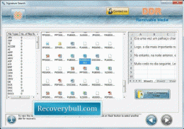 Download USB Data Recovery