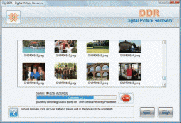Download DDR Digital Pictures Recovery