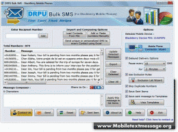 Download Blackberry Mobile SMS Messaging