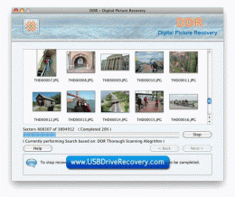 Download How to Recover Files on Mac