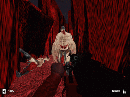 Download Bloody Maze 3.5