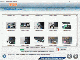 Download Picture Data Recovery Software