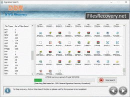 Download NTFS Files Recovery
