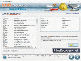 Download File Recovery
