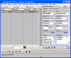 Download Business Expense Organizer