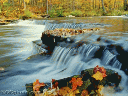 Download Natures Splendors: Autumn Screen Saver and Wallpaper